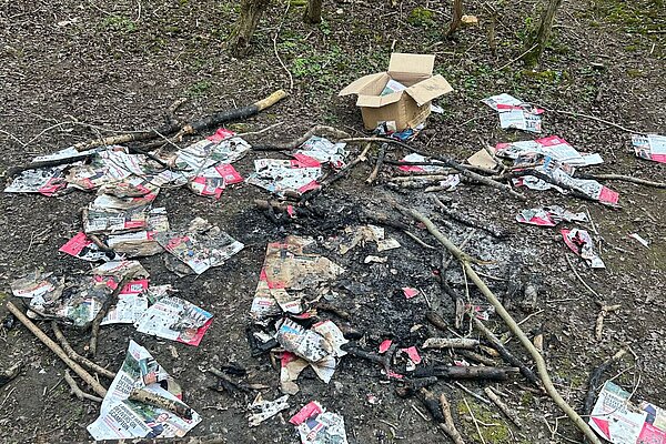 Lincoln Labour Fly tipping